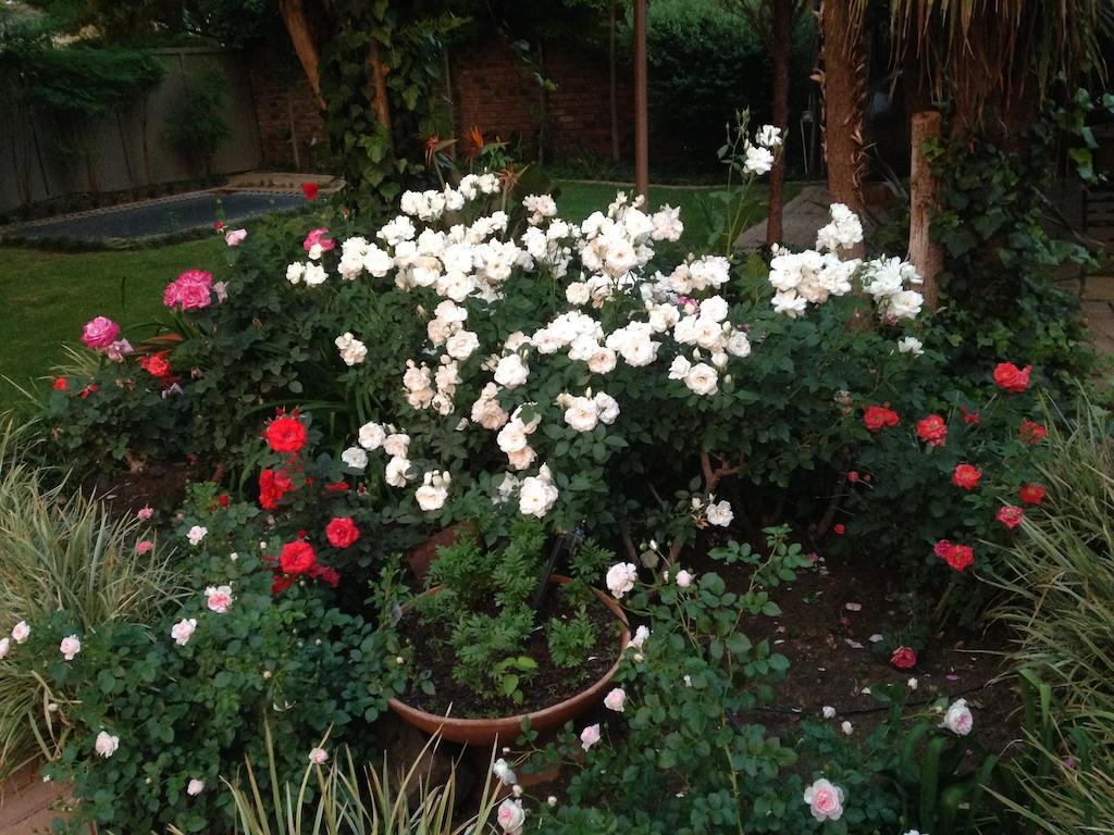 Anne'S Place Potchefstroom Exterior foto
